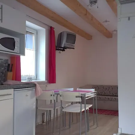 Studia Relax Apartment Zelezna Ruda Room photo
